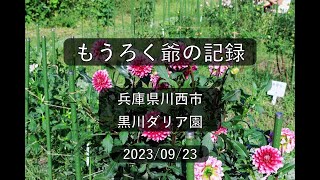 【俳諧記録】#150　兵庫県川西市　黒川ダリア園