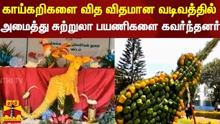 காய்கறிகளை வித விதமான வடிவத்தில் அமைத்து சுற்றுலா பயணிகளை கவர்ந்தனர் | Kothagiri