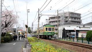 春の江ノ電　柳小路駅あたり