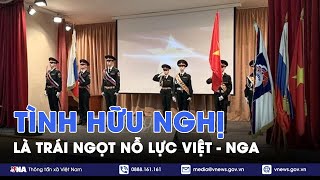 Tình hữu nghị là trái ngọt của nỗ lực chung Việt - Nga - VNA