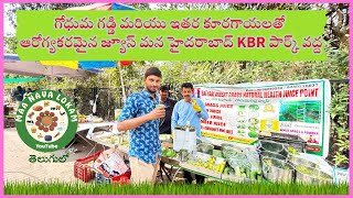 Wheat Grass Juice for Health - A Recipe from Satyam