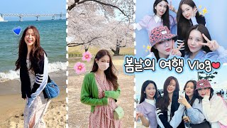 💗여행 VLOG💗 경주 벚꽃 여행🌸 & 무계획 P들의 부산 우정여행 겟레디! (feat.깡나, 옥슈슈, 율리)