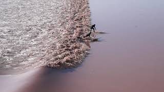 First tidal bore surfers of the year on the Petitcodiac river @ Moncton NB, Canada. April 25, 2021.