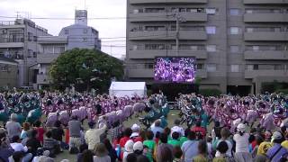 【公式】【受賞演舞】東京花火　胡蝶の夢　湘南よさこい2013