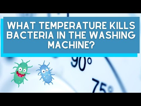 Does a 40 degree wash kill bacteria?