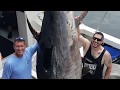 960 Pound Giant Bluefin Tuna