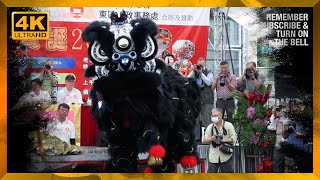 2O23 Hong Kong Hong CLou Traditional Lion Dance Competition 雄獅樓盃 獅王競賽 // 少青廣州花都大唐邊分會