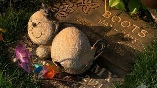 Paying tribute to our beloved pets