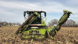 2016 CLAAS ORBIS 900 For Sale