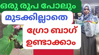 ഒരു രൂപ പോലും മുടക്കില്ലാത്ത ഒരടിപൊളി ഗ്രോബാഗ് ഉണ്ടാക്കി നോക്കിയാലോ 👌👌