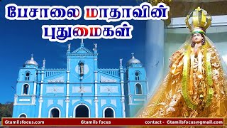 பேசாலை மாதாவின் புதுமையின் இரகசியங்கள்   PESALAI MANNAR CHURCH   PESALAI CHURCH   GTAMILSFOCUS