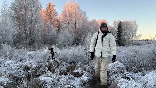 Teeren metsästys päivä 4