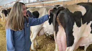 Dairy Show - Anatomy of a Dairy Cow