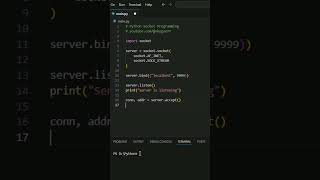 Python Sockets in Under a Minute! 👀