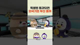 부산 글로벌 허브도시 특별법 통과되면 외국기업 부산 올까? #shorts #글로벌허브도시 #부산