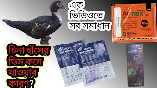 এবার চিনা হাঁসের ডিম বাড়বেই || এই ঔষধ গুলো ব্যবহার করলে || ব্যবহারের নিয়ম ও ঔষধের দাম duck farm bd