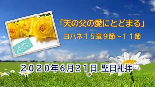 2020年6月21日「天の父の愛にとどまる」ヨハネ15章9節〜11節