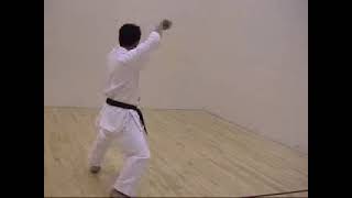 Suparinpei Wado Ryu