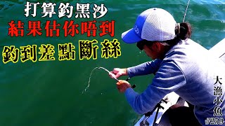 打算釣黑沙鱲，結果釣到更開心的魚種┃新口味 : 醬油漬鹹鮮┃大漁小魚#259┃中文字幕