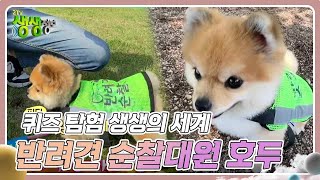 퀴즈 탐험 생생의 세계 : 반려견 순찰대원 호두 [2TV 생생정보] | KBS 240517 방송