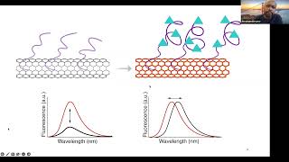 Abraham Beyene: "Imaging neuronal chemical efflux using DNA-carbon nanotube hybrid materials"