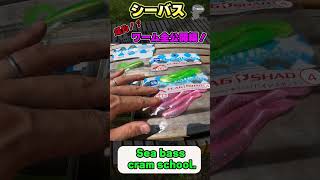 マツタケの爆釣！？シーバスワーム全公開！ #shorts  #シーバス #釣り