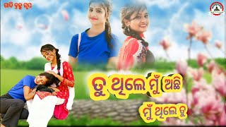 Tu Thile Mu Achhi Mu Thile Tu||Nari Akhire Nia Super Hit Movie Song ||Ira mohanty Pritinanda Routray