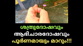 🔥🔥ആഭിചാരദോഷവും ശത്രു ദോഷവും മാറാൻ🔥🔥 Malayalam astrology🔥🔥