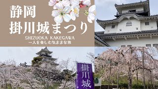 【気ままな一人旅】静岡編　掛川城まつり（桜と掛川城）