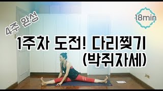 [EVA YOGA]4주완성 1주차 도전! 다리 찢기(박쥐자세)