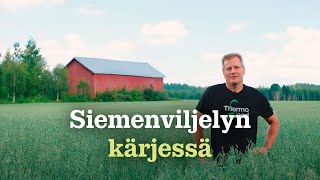 Siementuotantoa Lantmännen Agrolle - kokemuksia Kyttälän tilalta