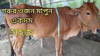 গরুর ওজন মাপুন একদম সহজ|Nil Krishi