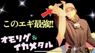 【イカメタル＆オモリグ】今季初の挑戦!! 最強のエギはコレだ!!