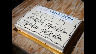 LamiaReport.gr: Η Triacon έκοψε τη βασιλόπιτά της