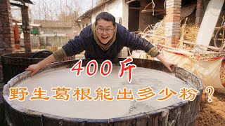 【Shyo video】用400斤野生葛根做橘酿葛根粉，历时7天，看看能出多少粉？