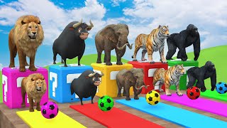 Long Slide Game With Cow Elephant Gorilla Hippopotamus Tiger 3d Animal Game Funny 3d Animals