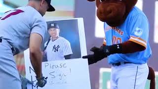 Wool E. Bull Attempts to Get Stanton to Venmo