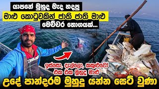 යාපනේ මේ තරම් ලොකු මාළු කොටු දැක්කේ අද තමා | Boat Fishing Skills Jaffna Sri Lanka