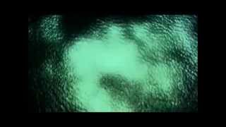 Alan Watts Go Out With a Bang not a Whimper W Music