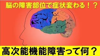 高次能機能障害とは？脳の障害部位別症状をわかりやすく解説します。