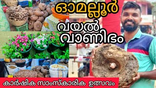 ഓമല്ലൂർ വയൽവാണിഭം | കർഷകരുടെ ഉത്സവം| കാർഷിക സാംസ്കാരിക ഉത്സവം | Omallur Vayal Vanibham🤩