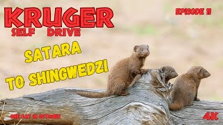 Where To Drive In Kruger Satara To Shingwedzi