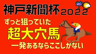 神戸新聞杯2022ずっと狙っていた超大穴馬！