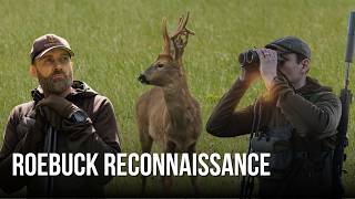 How Professional Guides Find Roebuck