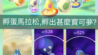 [Pokemon  GO]精靈寳可夢孵蛋馬拉松能孵出甚麼寶可夢