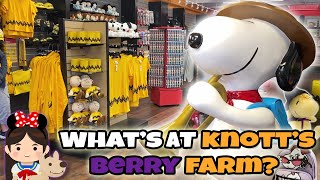 Shopping! What can you find at Knotts Berry Farm Marketplace?