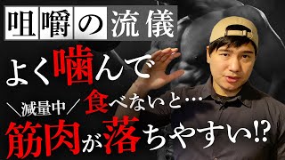 【咀嚼の流儀】減量期はよく噛んで食べないと筋肉が落ちやすい?