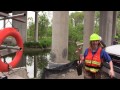 saving an endangered mussel under i 475