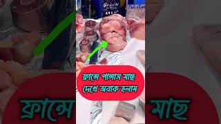 🇫🇷ফ্রান্সের মানুষ পাঙ্গাস মাছ খুব পছন্দ করে। molla vai #shorts #food #vlogs #france