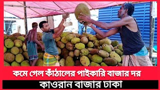 কমে গেল কাঁঠালের পাইকারি বাজার দাম /আজকের বাজারে কাঁঠাল এর দাম কত/kawran bazar Jackfruit wholesale